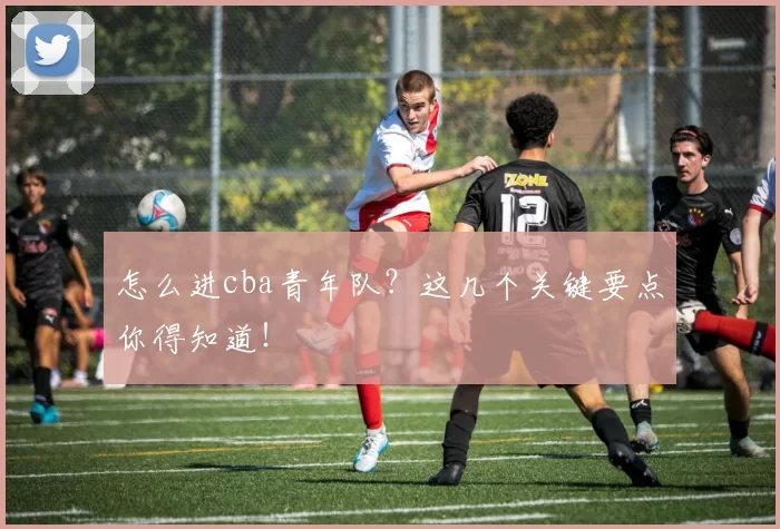 怎么进cba青年队？这几个关键要点你得知道！