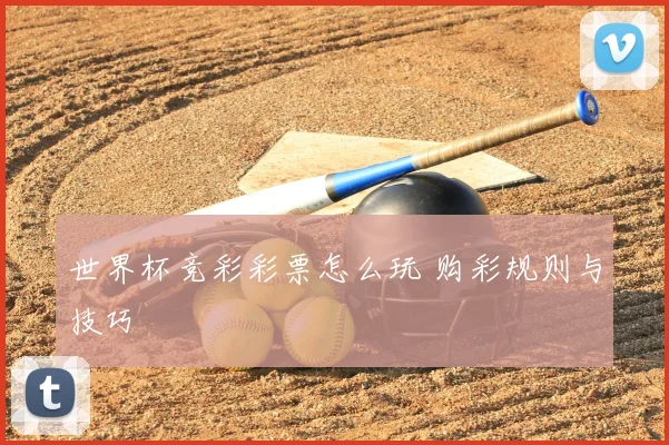 世界杯竞彩彩票怎么玩 购彩规则与技巧