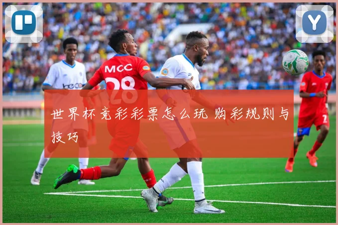 世界杯竞彩彩票怎么玩 购彩规则与技巧